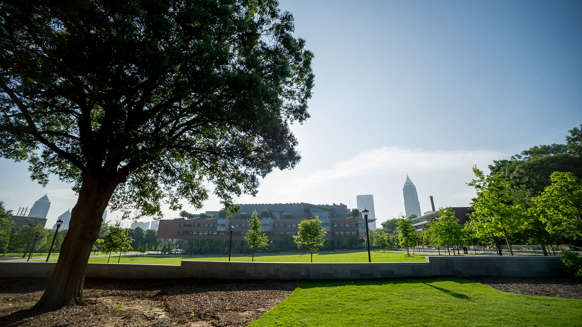 tech green
